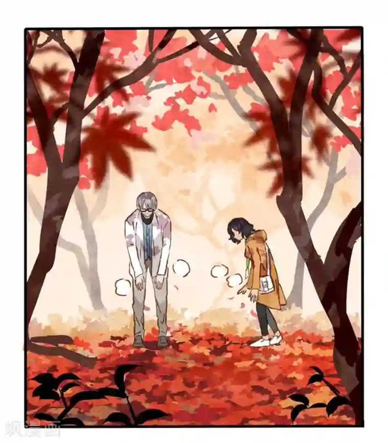 调教范冰冰张馨予小说第1话4 枫叶