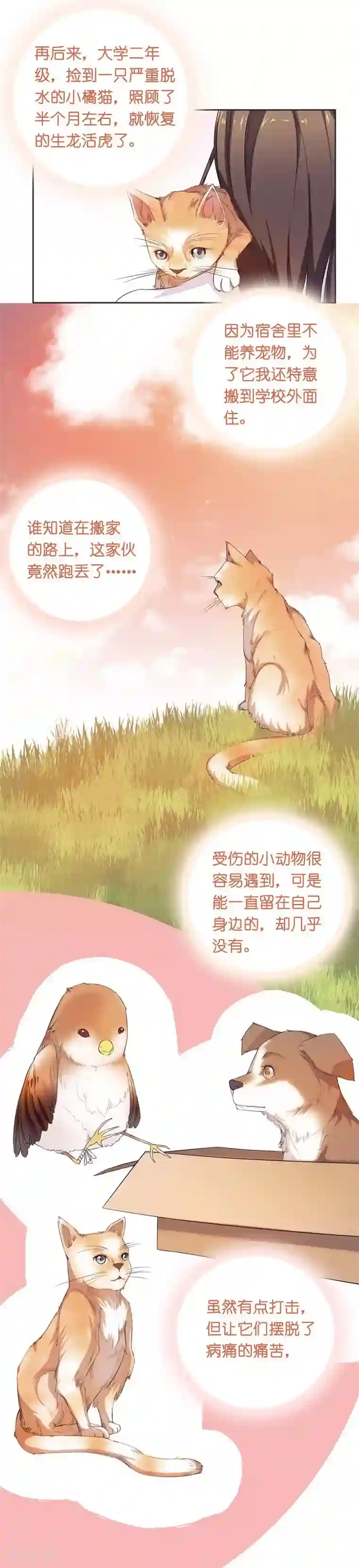 一千零一色号第10话 凉凉
