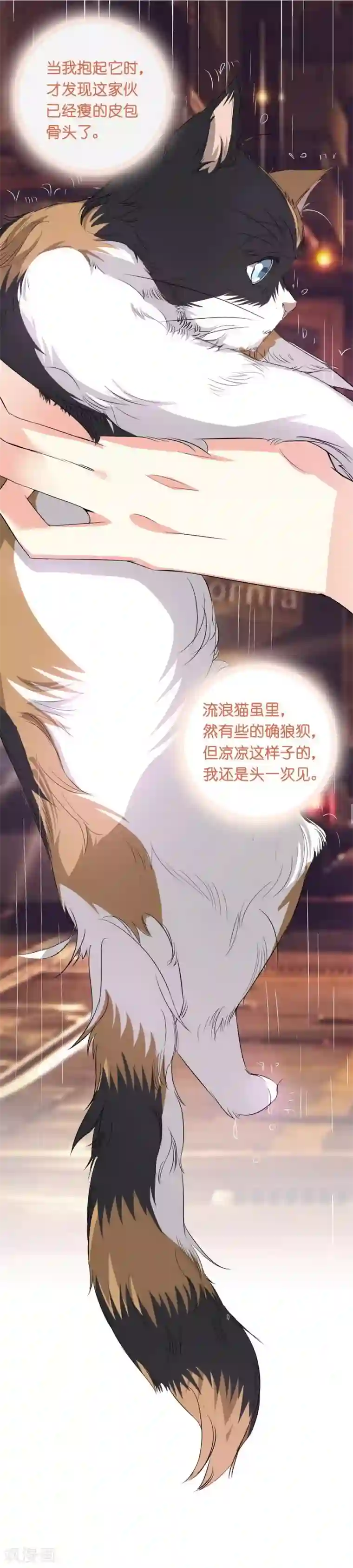 一千零一色号第10话 凉凉