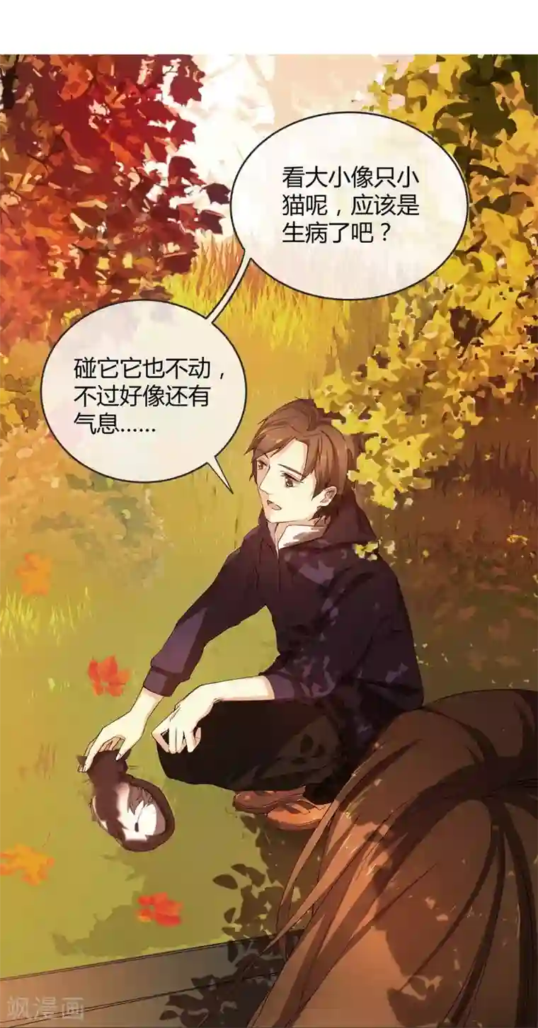 一千零一色号第10话 凉凉