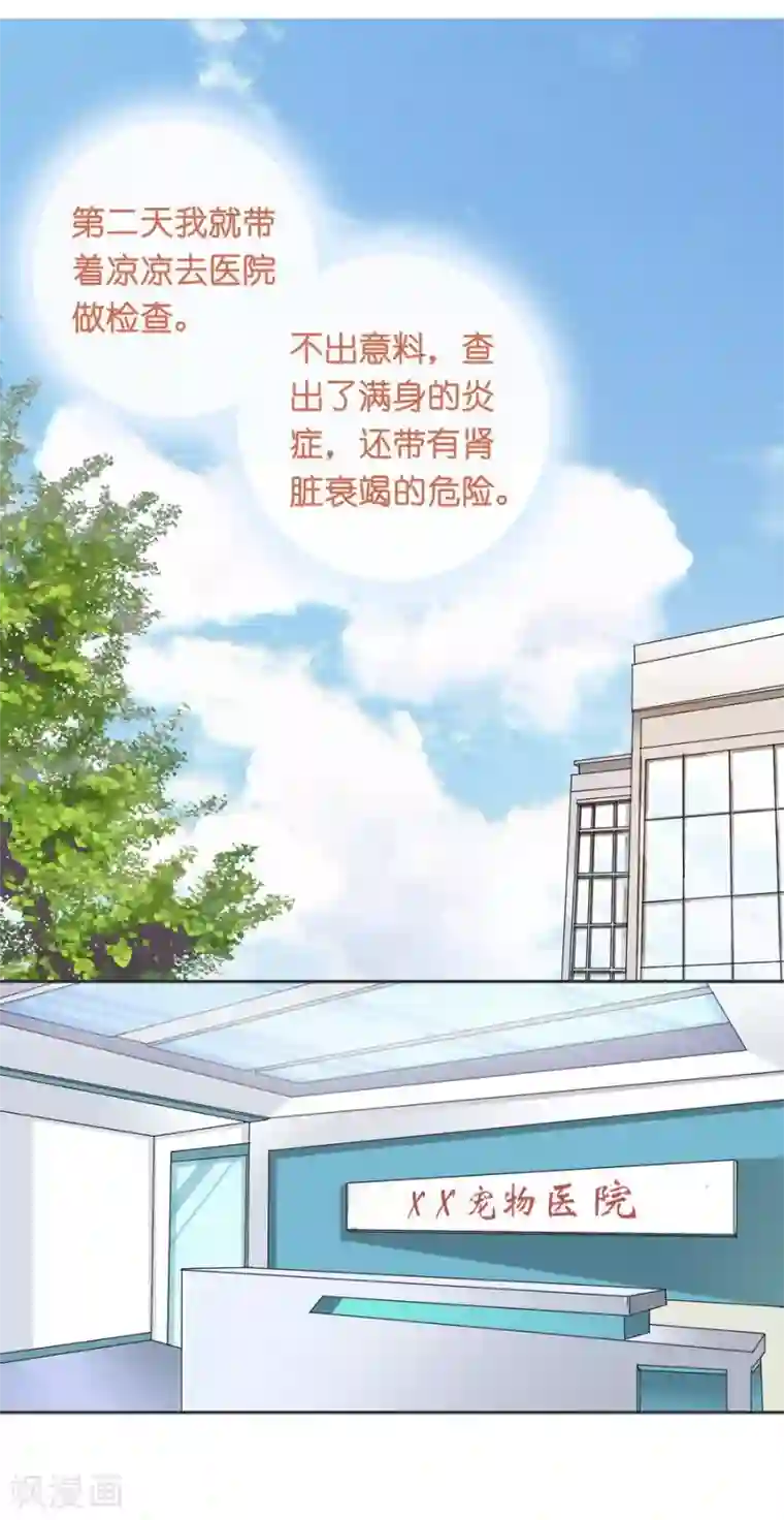 一千零一色号第10话 凉凉