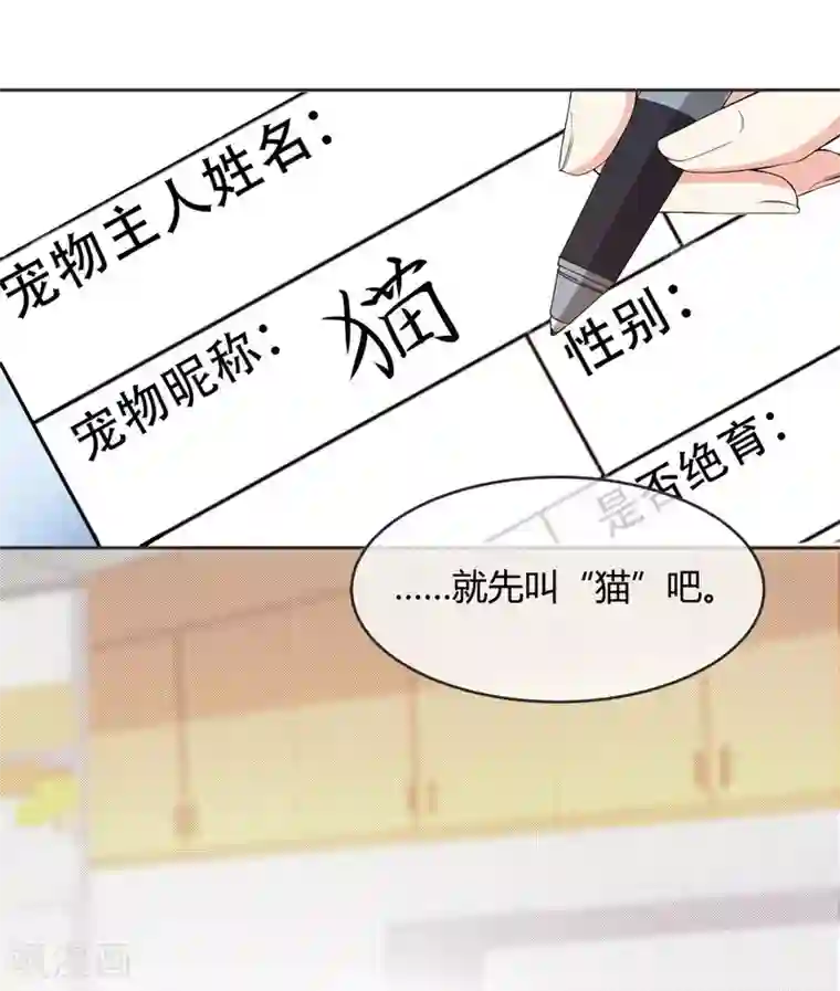 一千零一色号第10话 凉凉