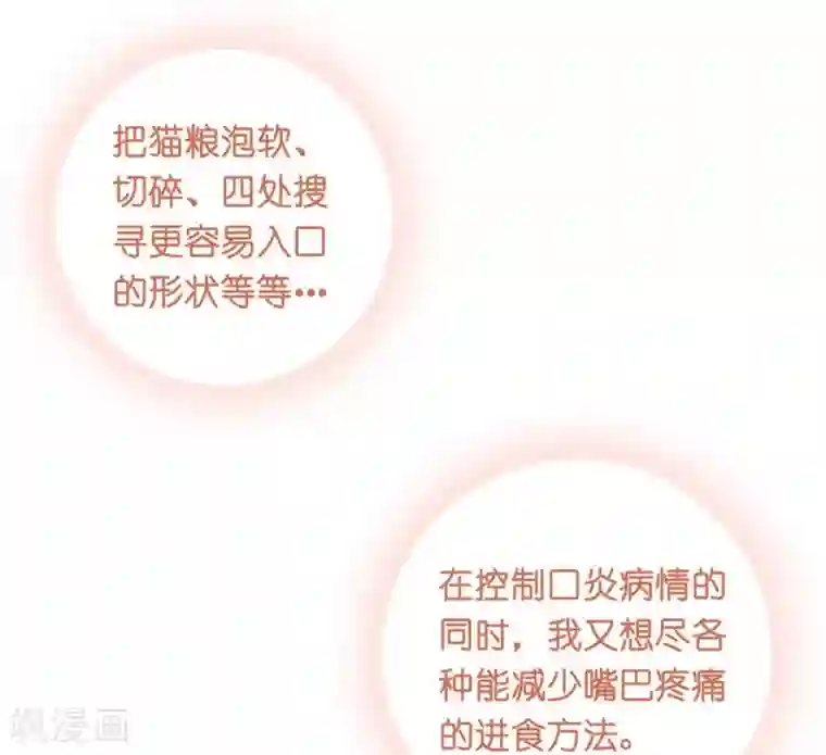 一千零一色号第10话 凉凉