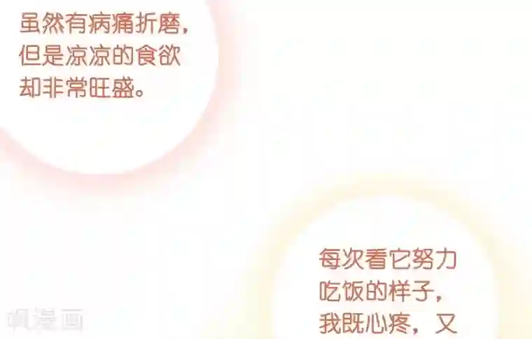 一千零一色号第10话 凉凉