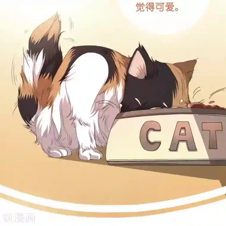 一千零一色号第10话 凉凉