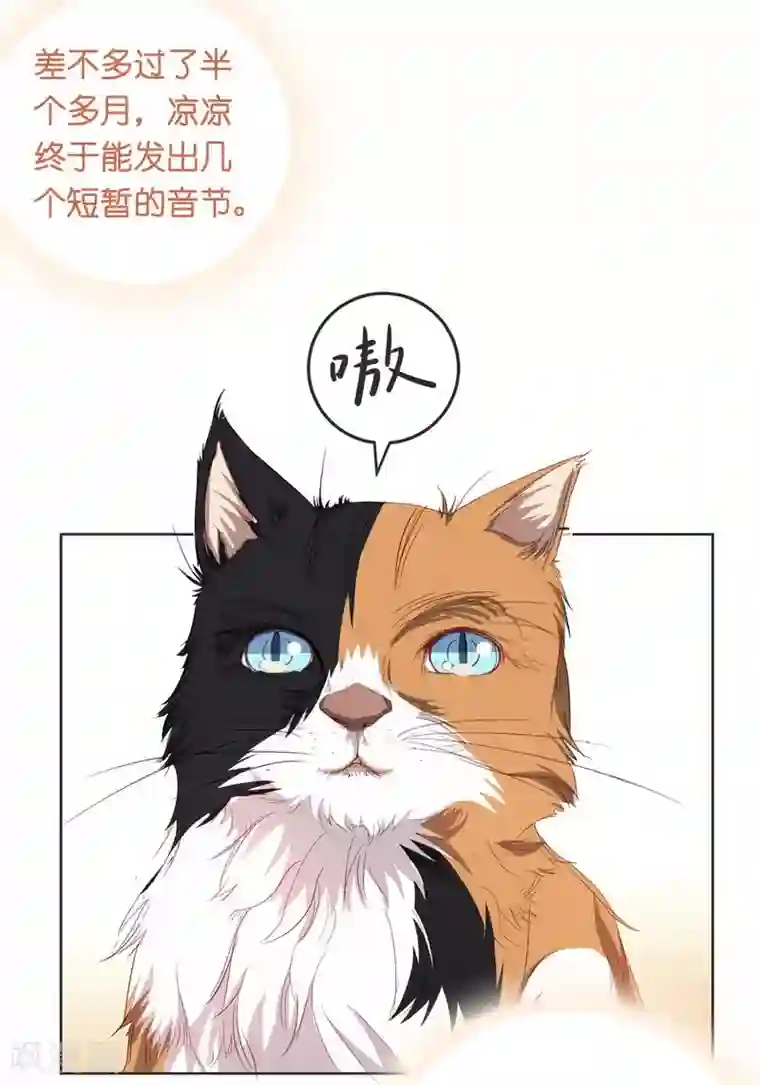 一千零一色号第10话 凉凉