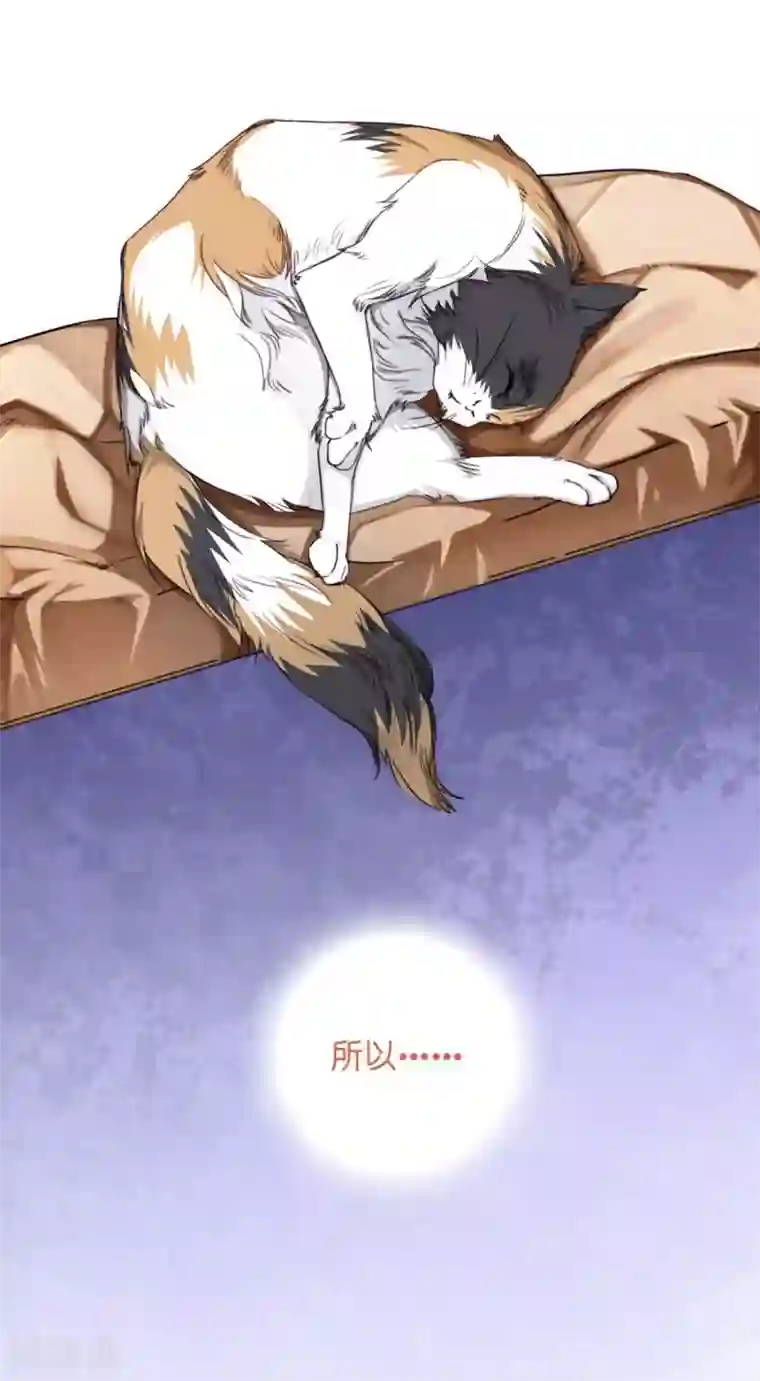 一千零一色号第10话 凉凉