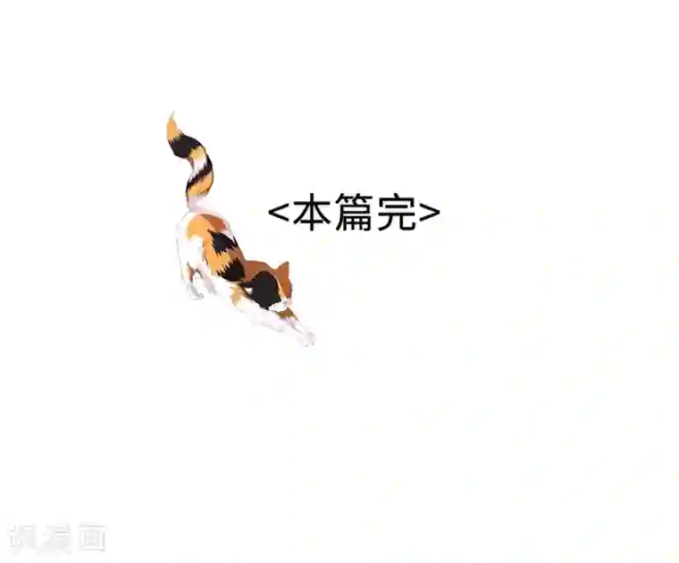 一千零一色号第10话 凉凉