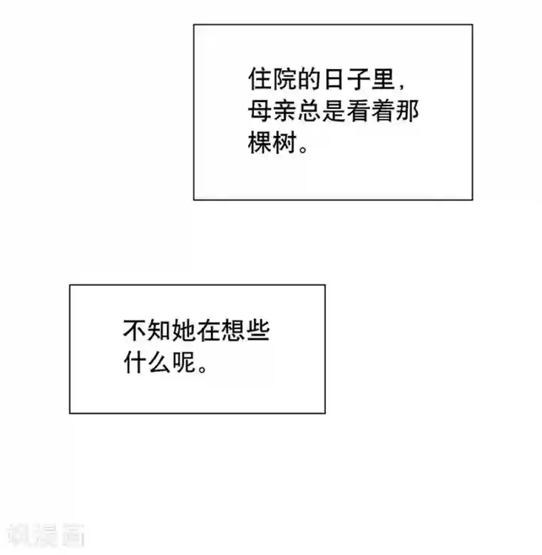 一千零一色号第20话6 和陌生人结婚了