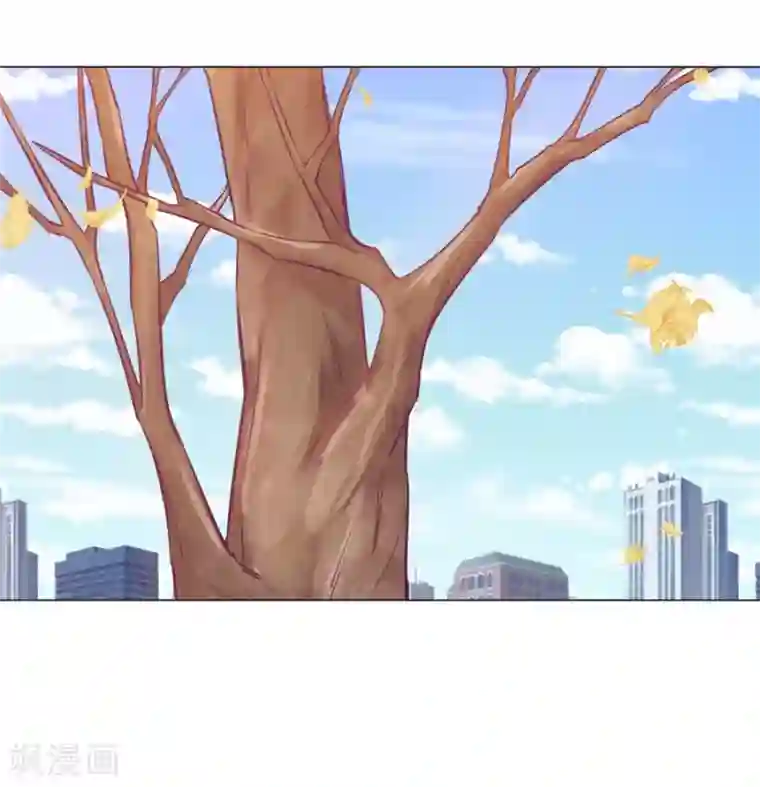 一千零一色号第20话6 和陌生人结婚了