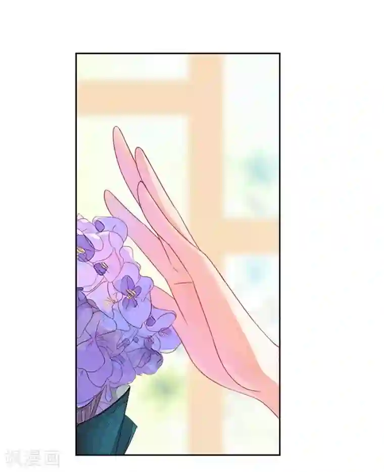 一千零一色号第22话1 风信子