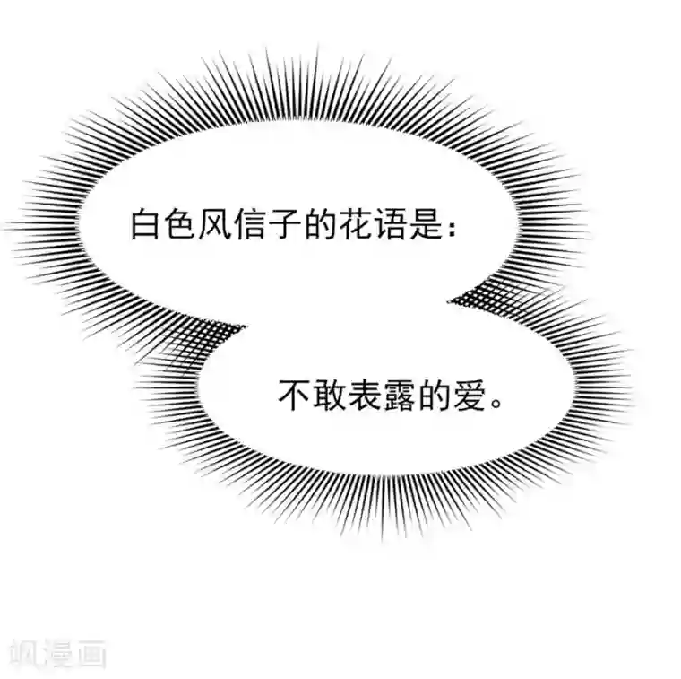 一千零一色号第22话2 风信子