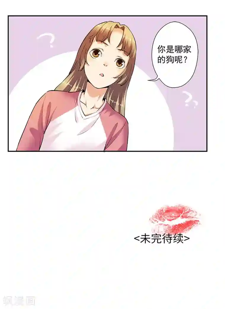 一千零一色号第33话1 捡到一只狗