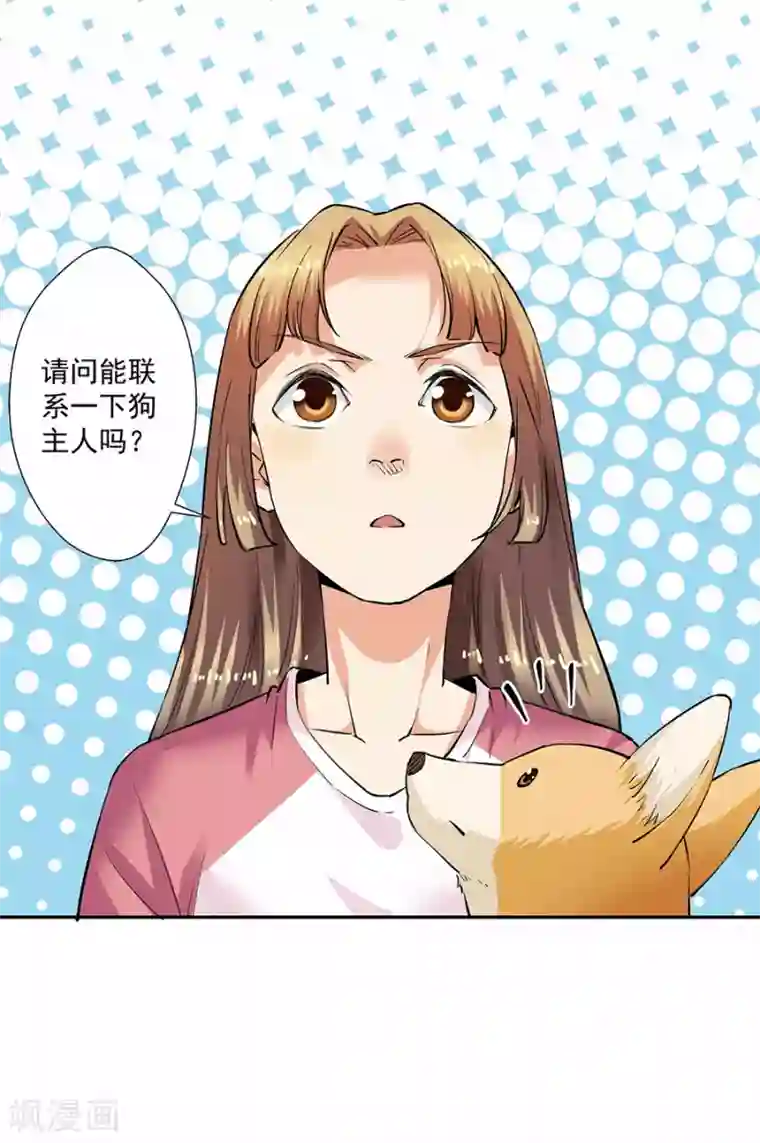 一千零一色号第33话2 捡到一只狗