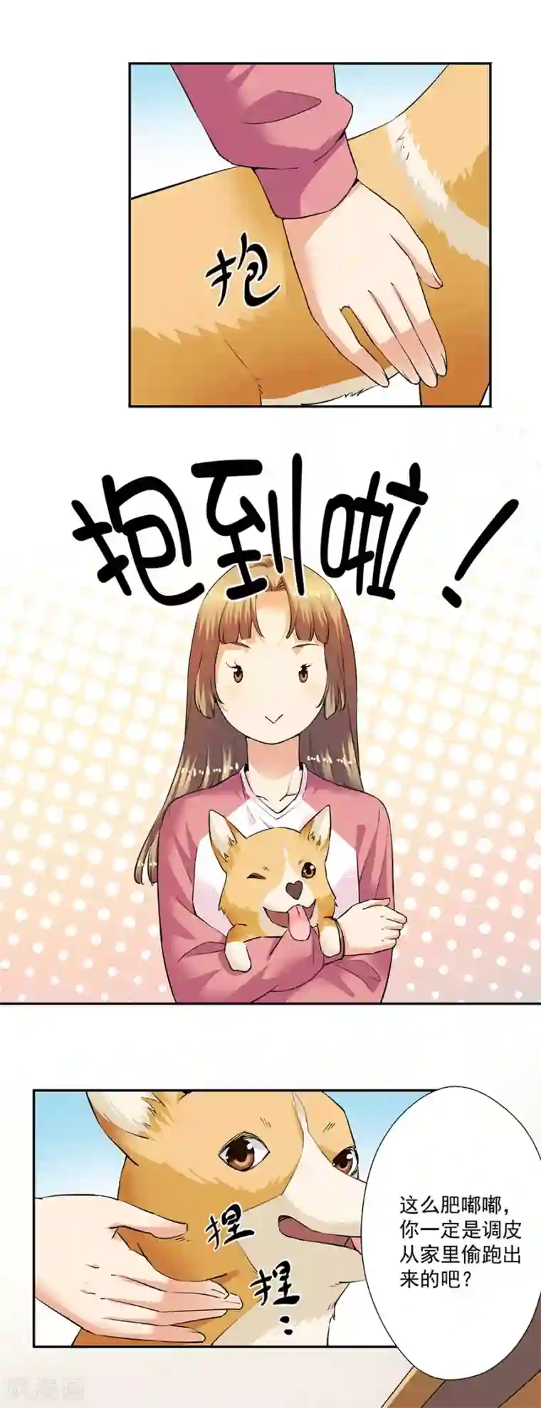 一千零一色号第33话2 捡到一只狗