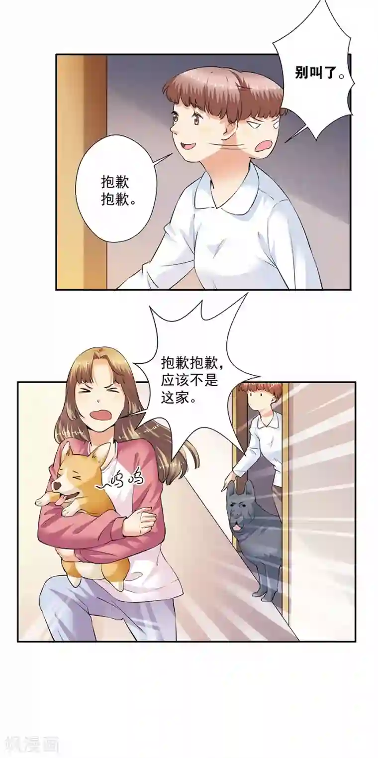 一千零一色号第33话2 捡到一只狗