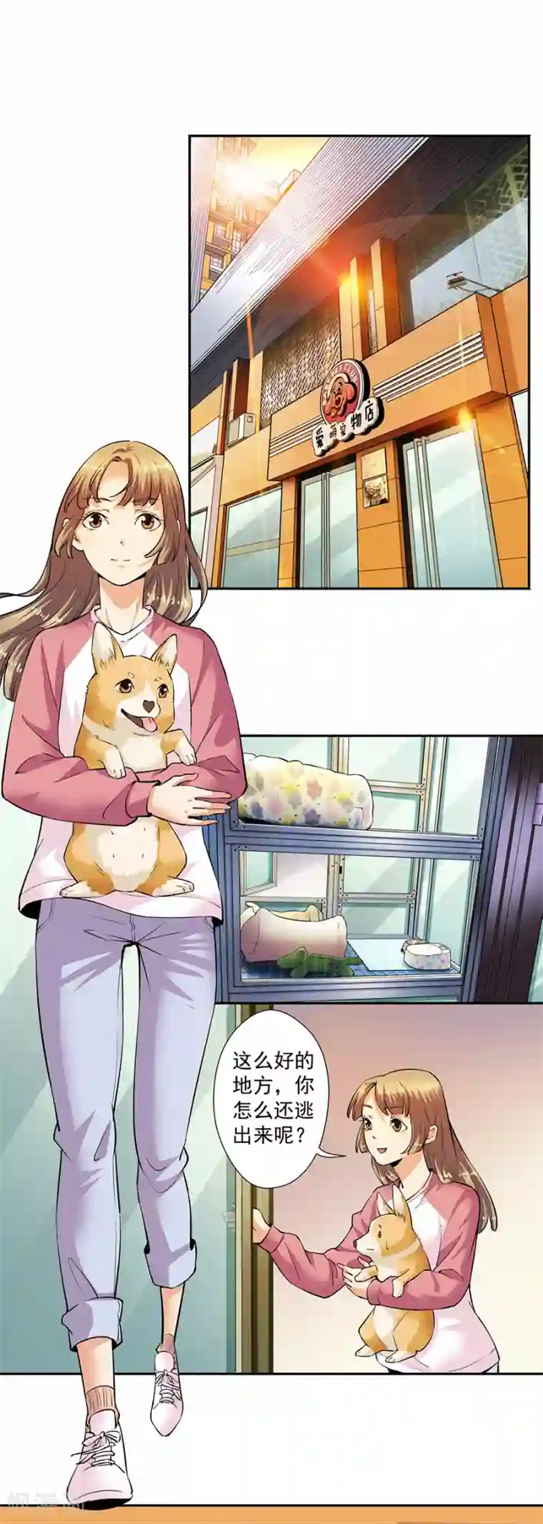 一千零一色号第33话2 捡到一只狗