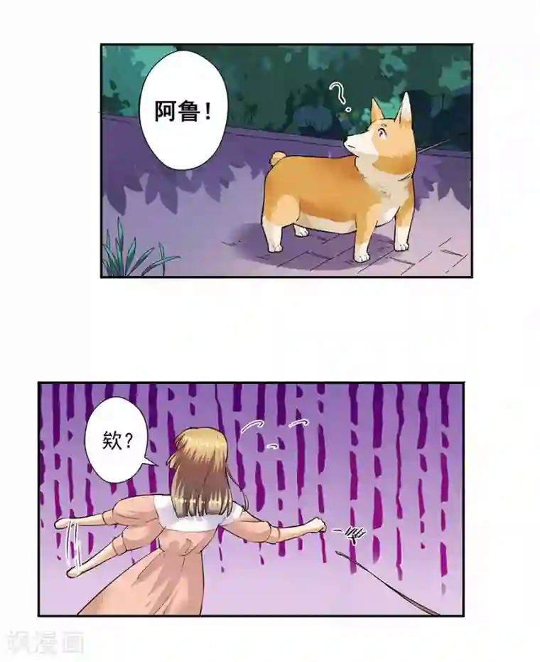 一千零一色号第33话3 捡到一只狗