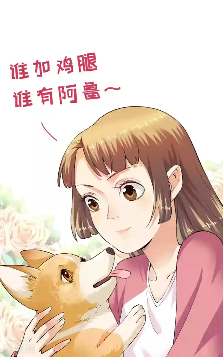 一千零一色号第33话3 捡到一只狗