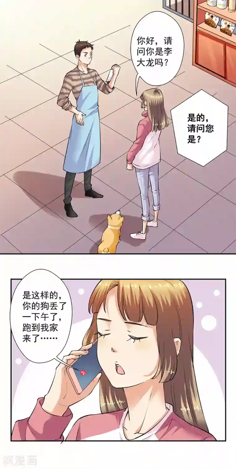 一千零一色号第33话3 捡到一只狗