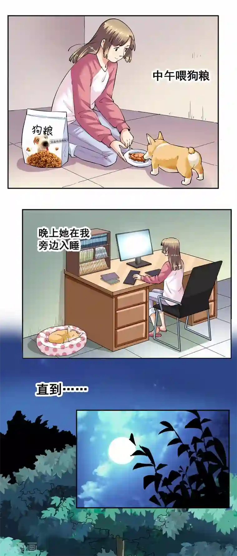 一千零一色号第33话3 捡到一只狗