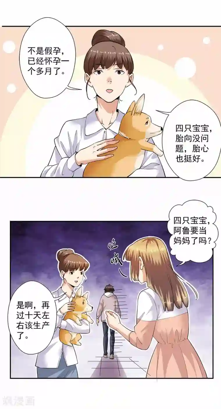 张书记的动作越来越快第33话4 捡到一只狗