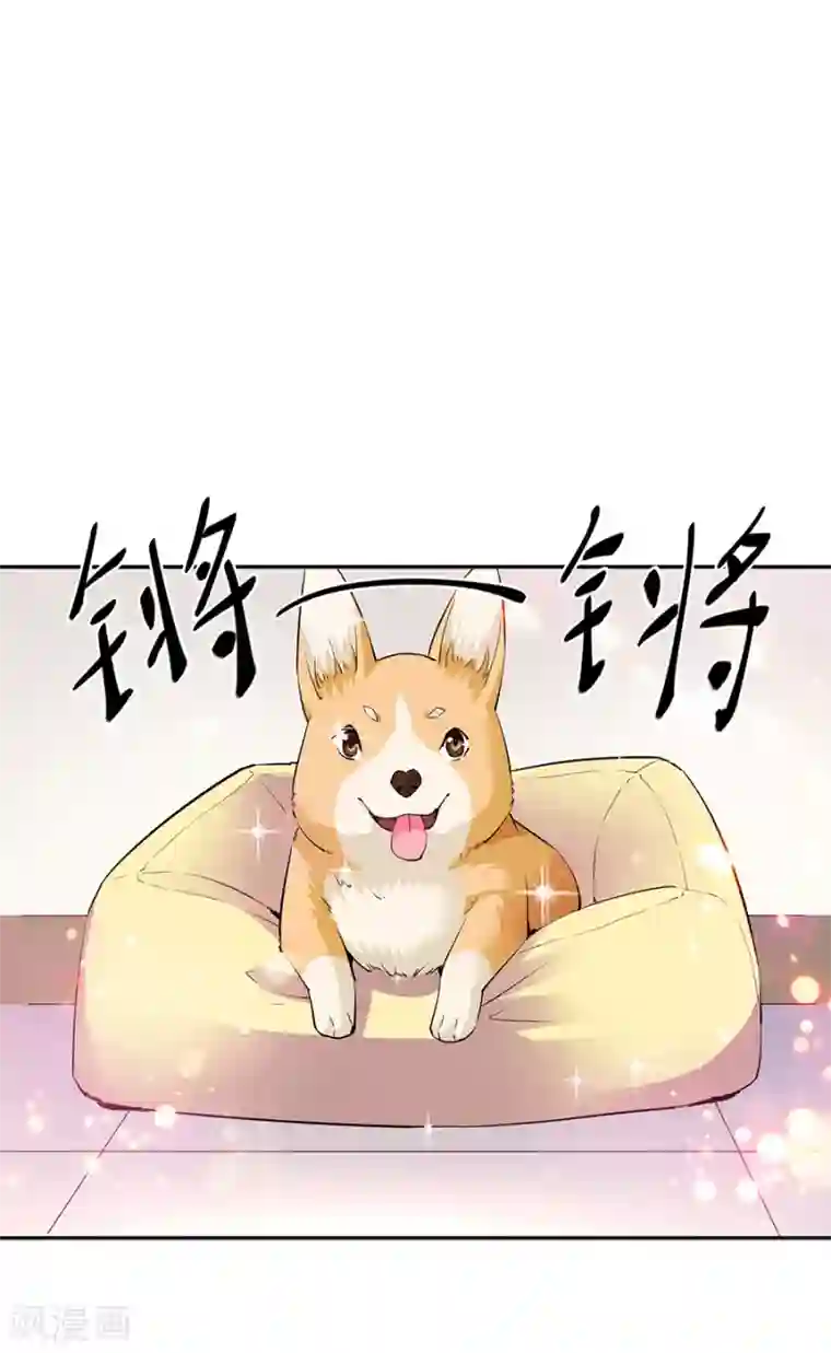 一千零一色号第33话6 捡到一只狗