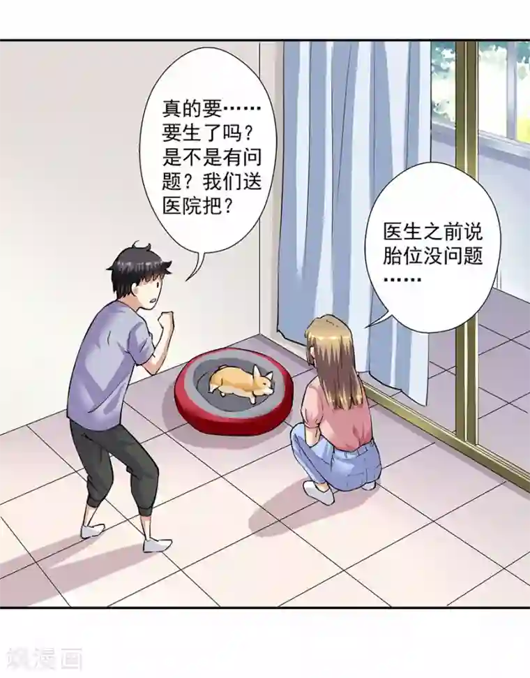 一千零一色号第33话7 捡到一只狗