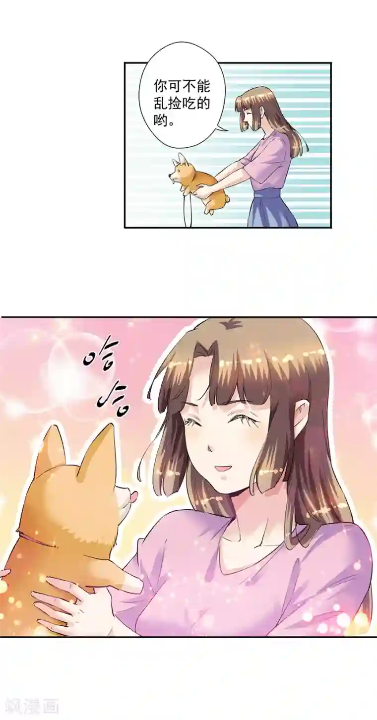 一千零一色号第33话7 捡到一只狗