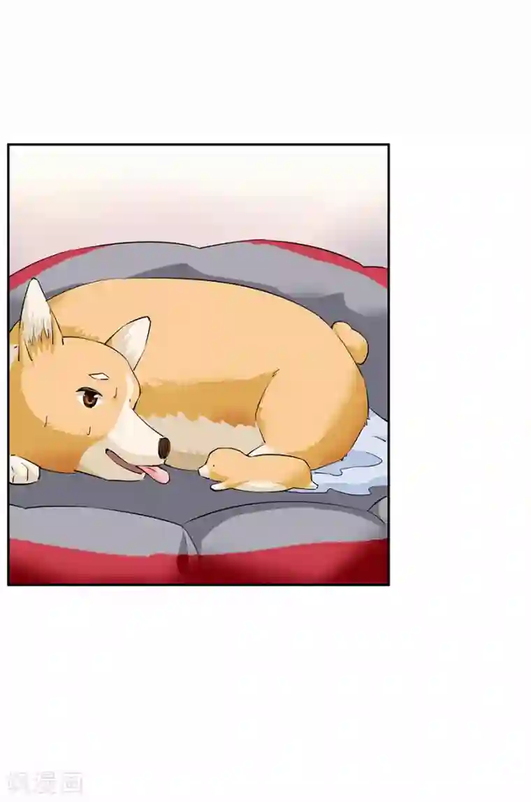 一千零一色号第33话8 捡到一只狗