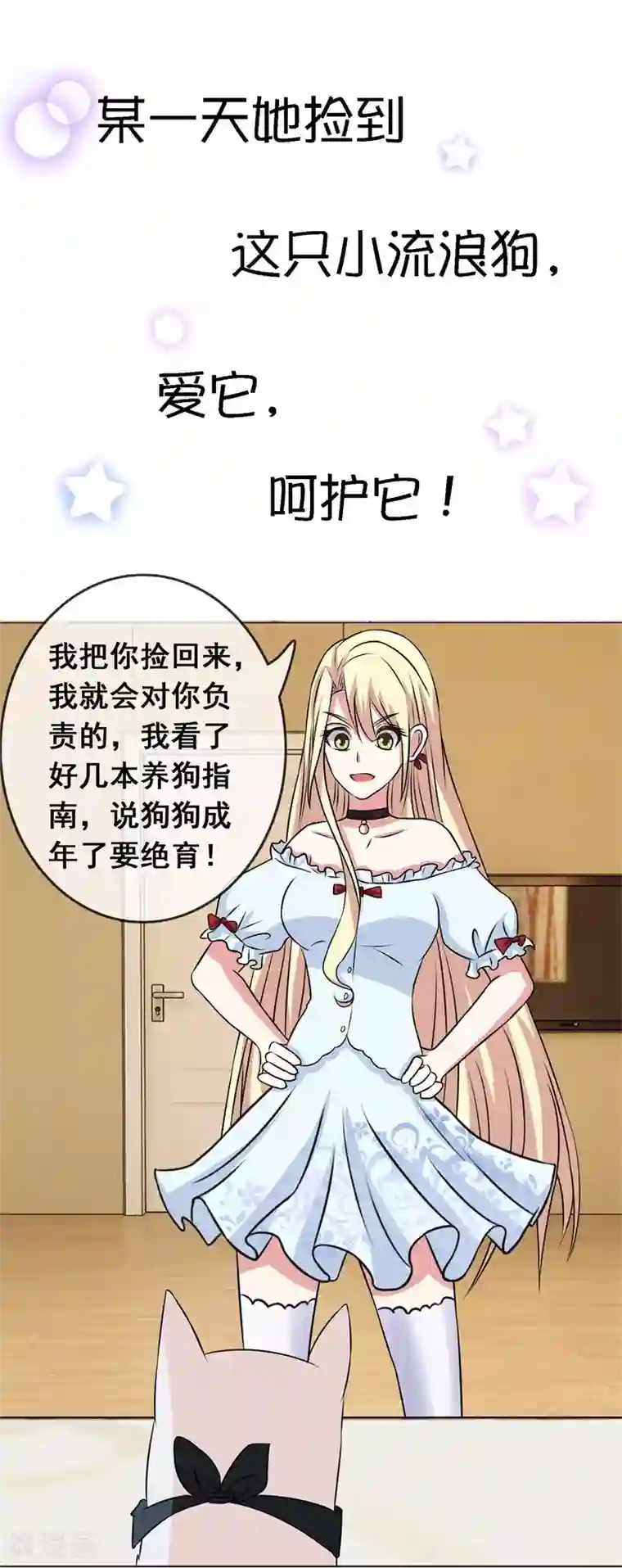 金主大人的锦鲤女孩预告