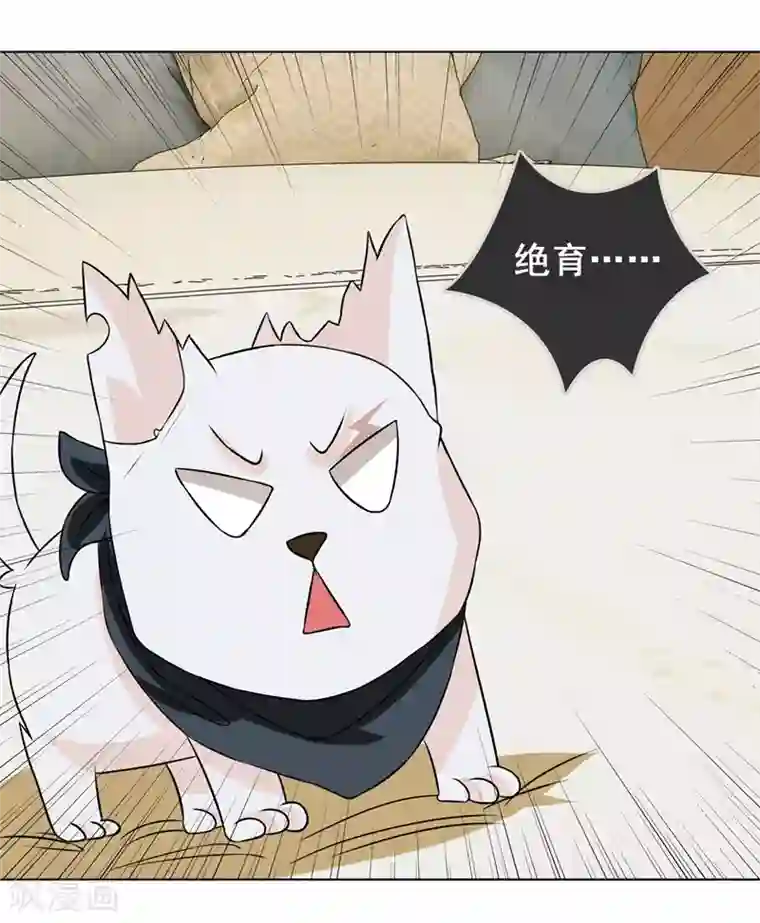 金主大人的锦鲤女孩预告