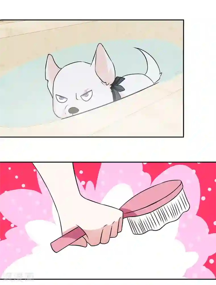 金主大人的锦鲤女孩第1话 白天总裁，晚上野狗