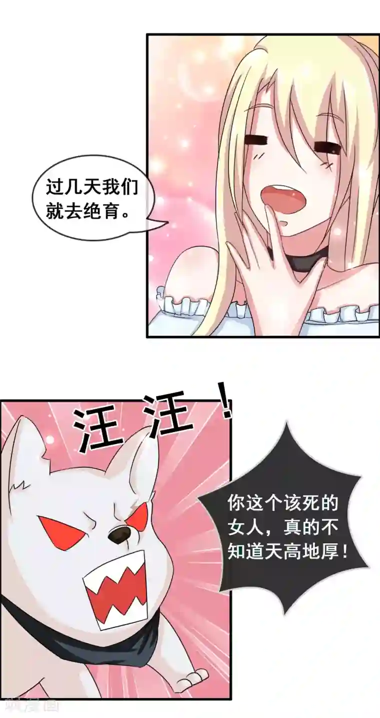 金主大人的锦鲤女孩第1话 白天总裁，晚上野狗