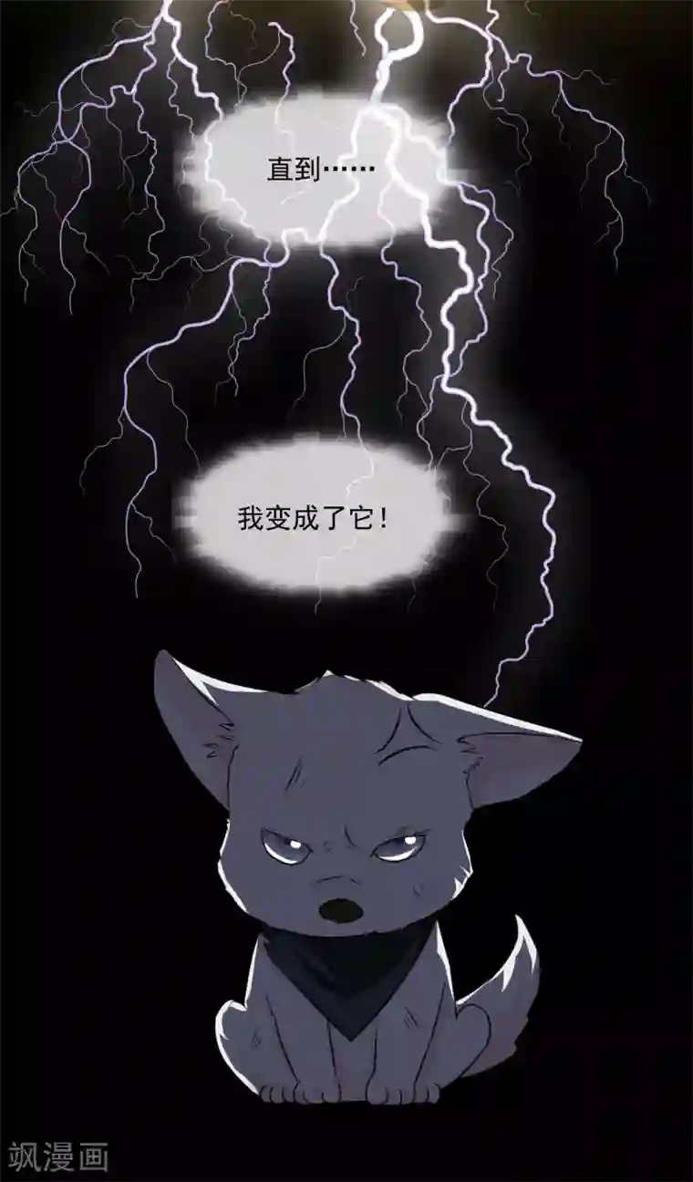 金主大人的锦鲤女孩第1话 白天总裁，晚上野狗