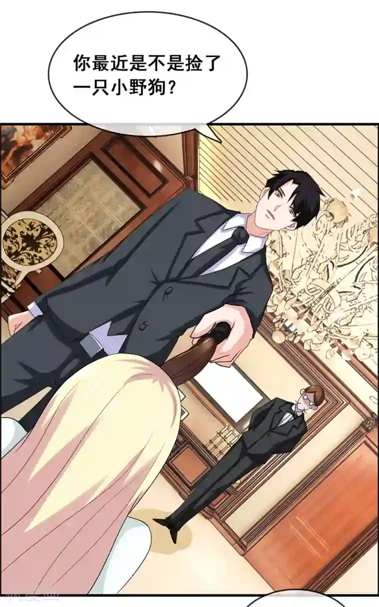 金主大人的锦鲤女孩第2话 不要绝育！