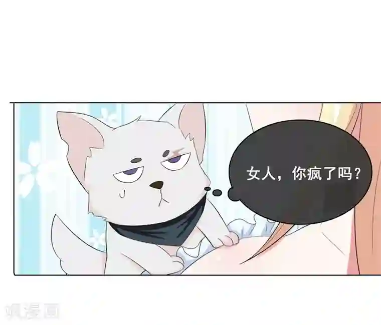 金主大人的锦鲤女孩第13话 本少爷也是你想吻就吻的