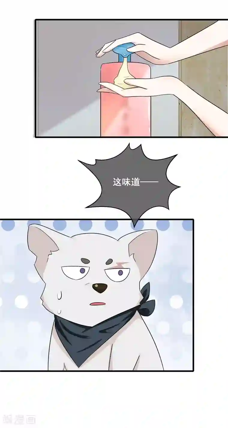 金主大人的锦鲤女孩第13话 本少爷也是你想吻就吻的