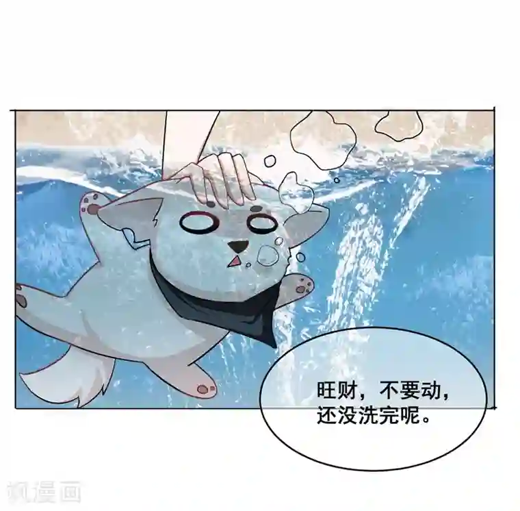 金主大人的锦鲤女孩第13话 本少爷也是你想吻就吻的