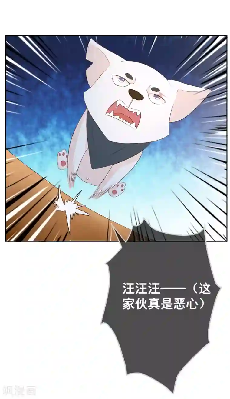 金主大人的锦鲤女孩第17话 小野狗保护筱幸运