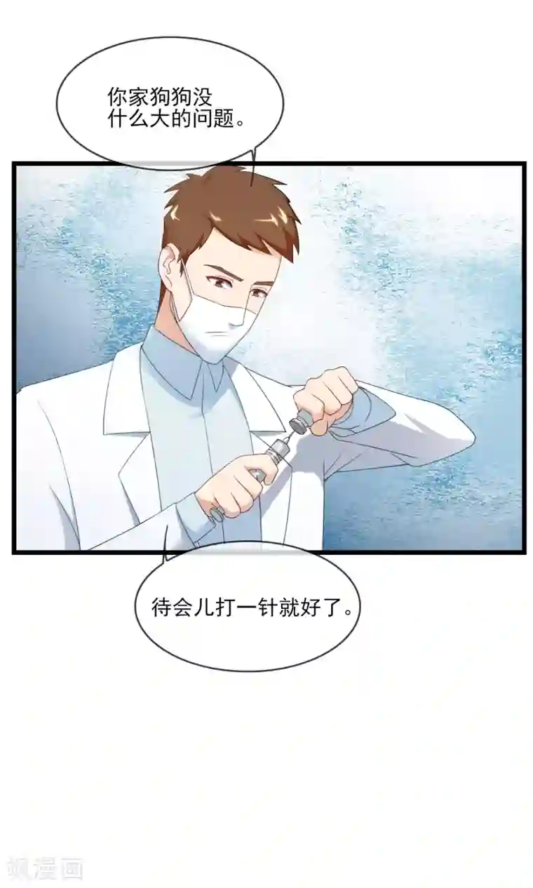 金主大人的锦鲤女孩第20话 狗狗不绝育会发情