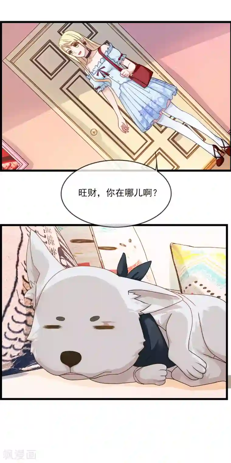 金主大人的锦鲤女孩第20话 狗狗不绝育会发情