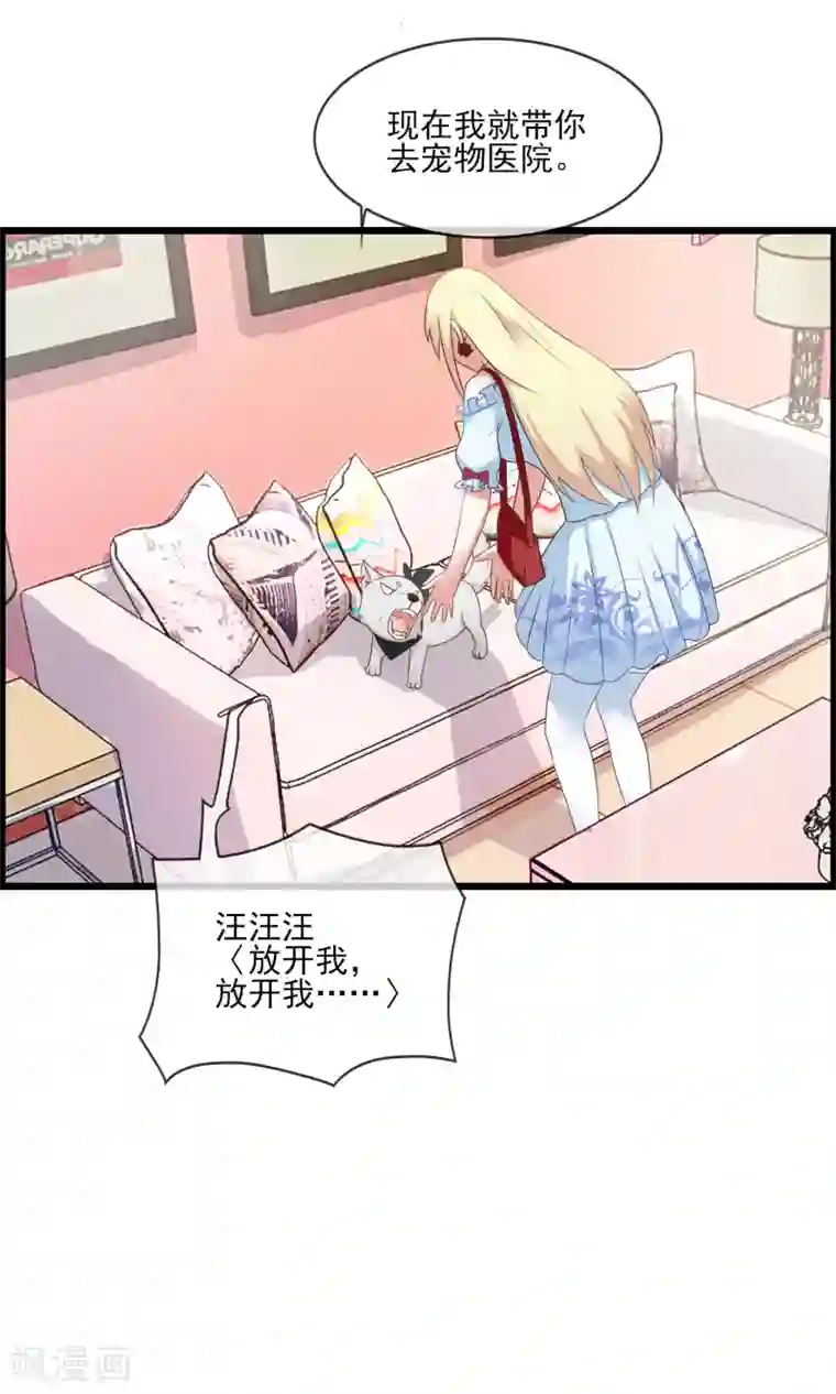 金主大人的锦鲤女孩第20话 狗狗不绝育会发情