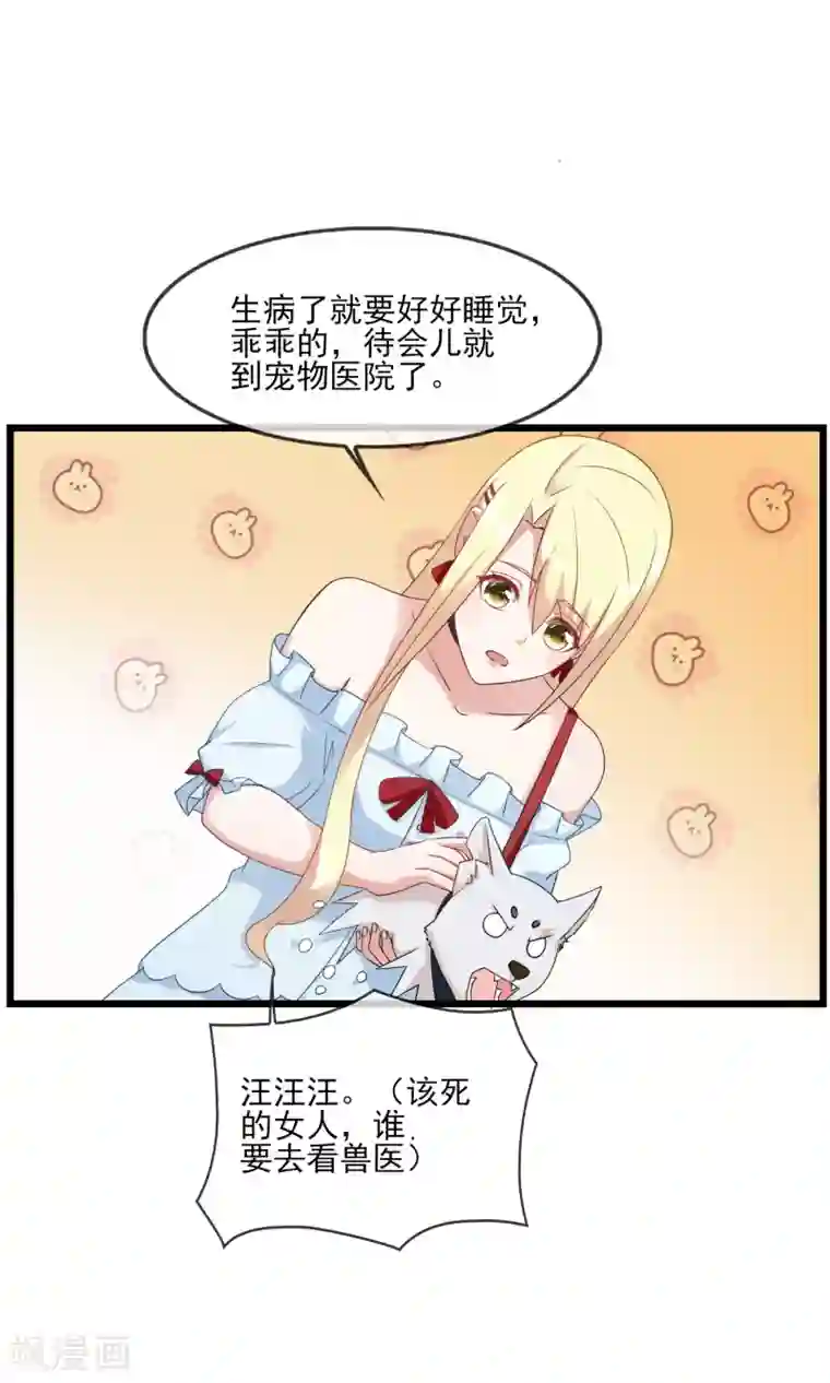 金主大人的锦鲤女孩第20话 狗狗不绝育会发情