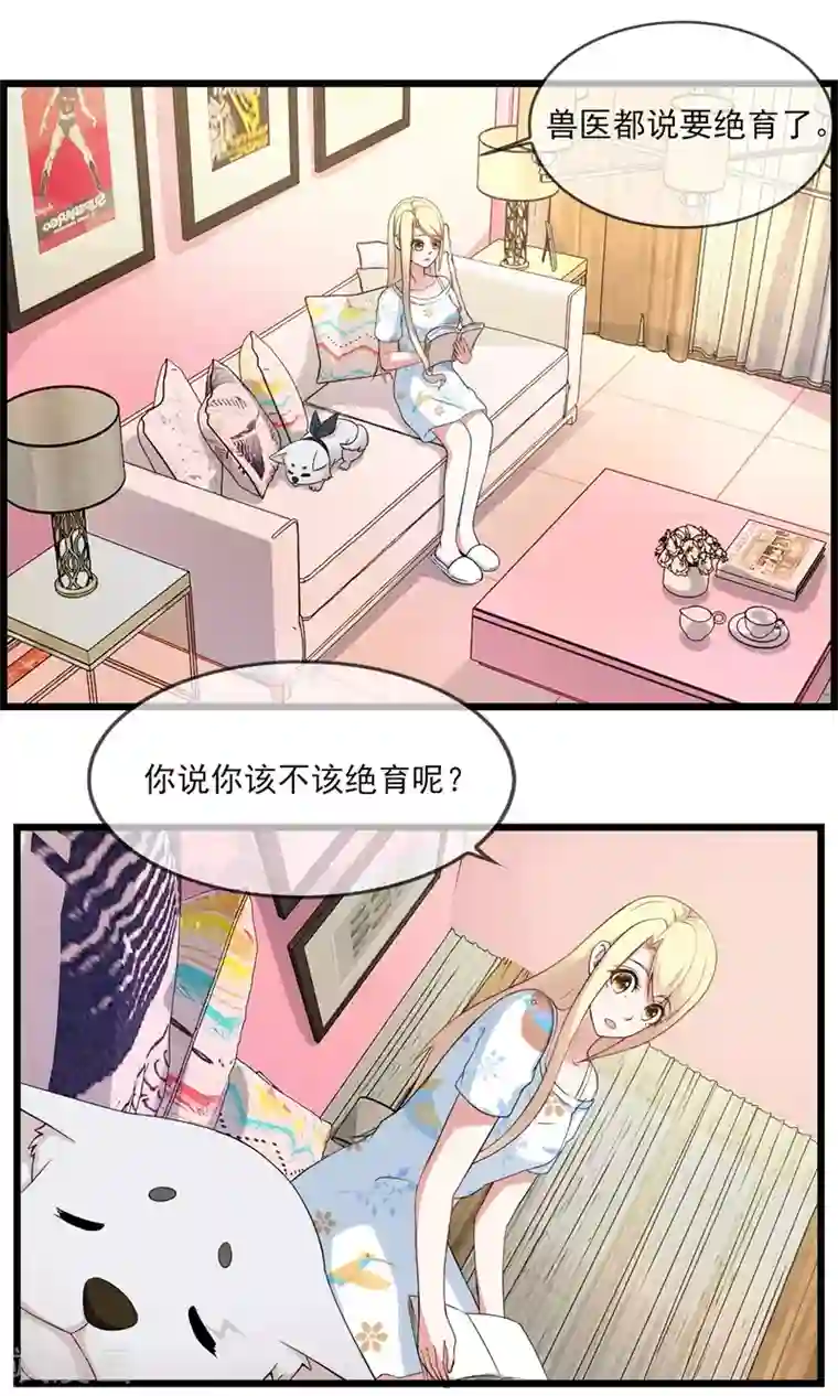 金主大人的锦鲤女孩第21话 狗狗要绝育
