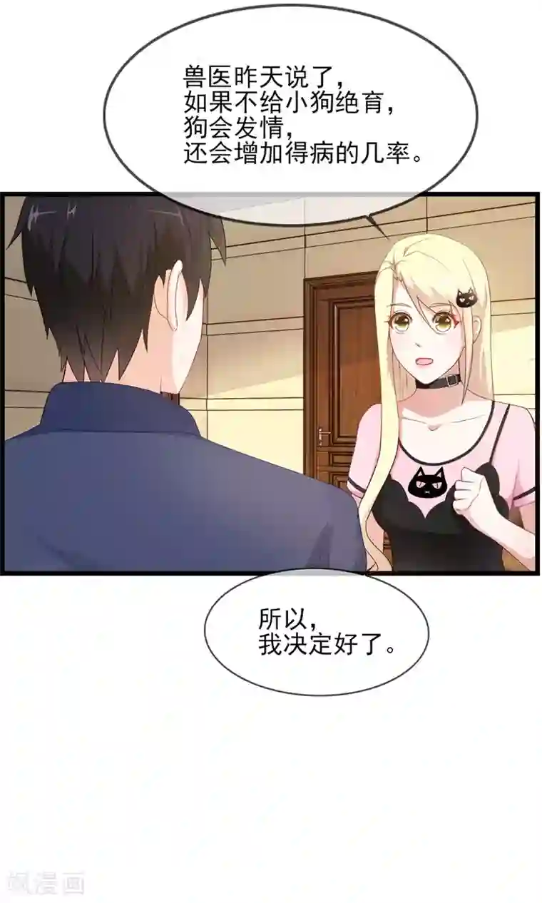 金主大人的锦鲤女孩第21话 狗狗要绝育