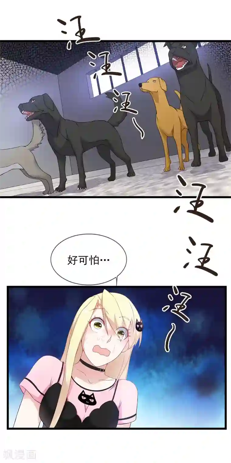 金主大人的锦鲤女孩第21话 狗狗要绝育