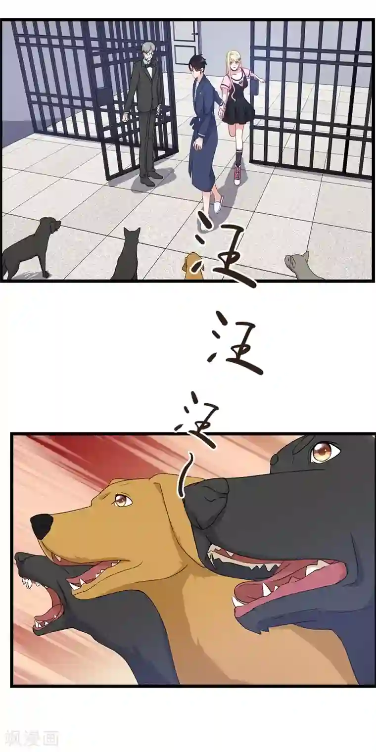 金主大人的锦鲤女孩第21话 狗狗要绝育