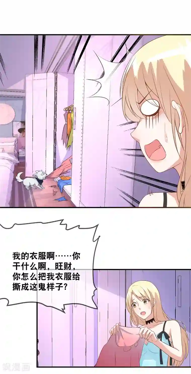 金主大人的锦鲤女孩第40话 野狗吃醋了