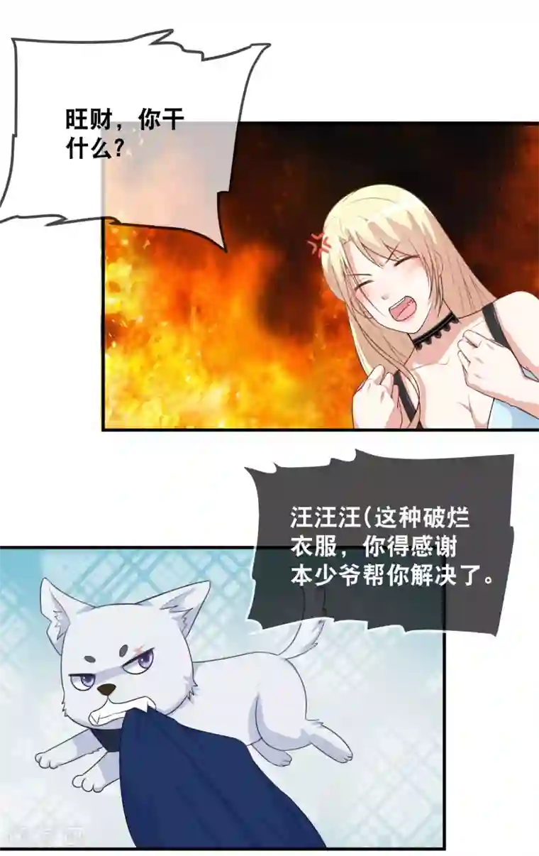 金主大人的锦鲤女孩第40话 野狗吃醋了